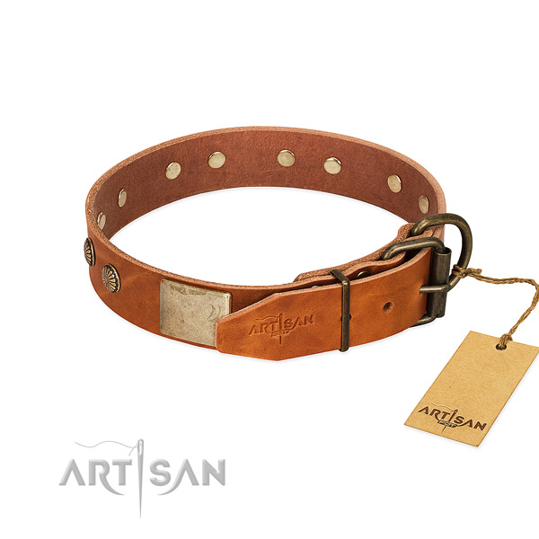 Durable D-ring on daily walking dog collar