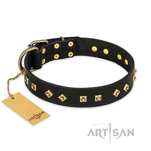 Adjustable full grain leather dog collar with corrosion proof fittings