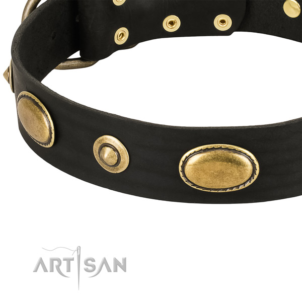 Durable traditional buckle on full grain natural leather dog collar for your canine