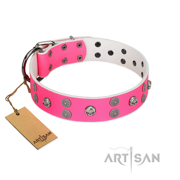 Handy use full grain leather dog collar with extraordinary adornments