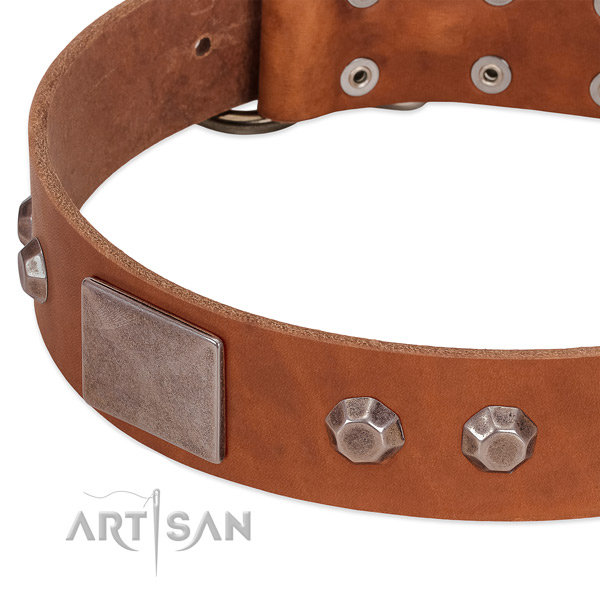 Walking top notch full grain leather dog collar