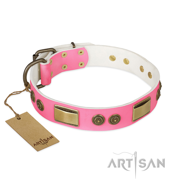 Awesome full grain natural leather dog collar for daily walking