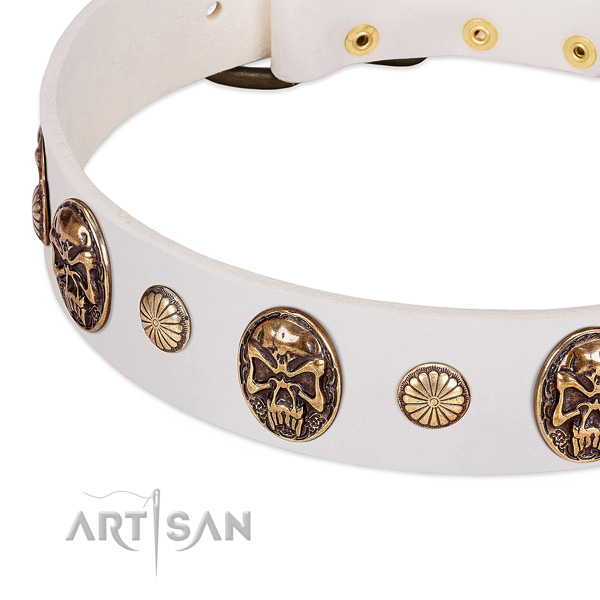 Durable buckle on full grain leather dog collar for your four-legged friend