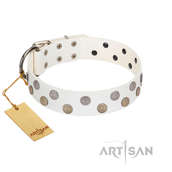 Full grain leather dog collar with unusual decorations created pet