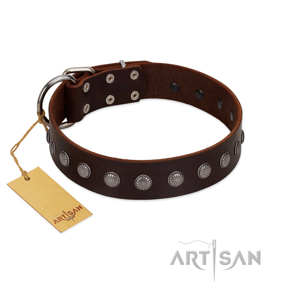 Corrosion resistant traditional buckle on genuine leather dog collar for everyday use
