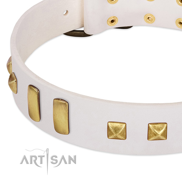 Quality leather dog collar with embellishments for easy wearing