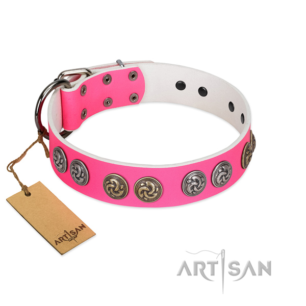Daily walking flexible full grain genuine leather dog collar with decorations