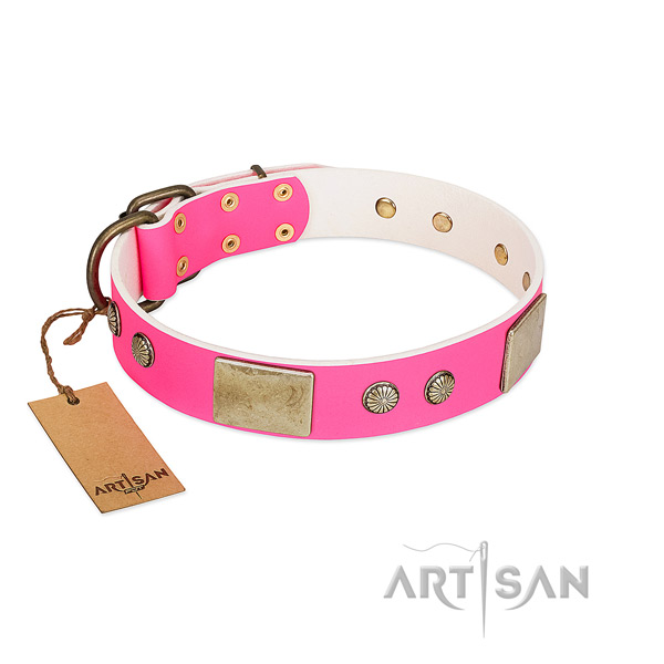 Easy wearing full grain genuine leather dog collar for basic training your four-legged friend