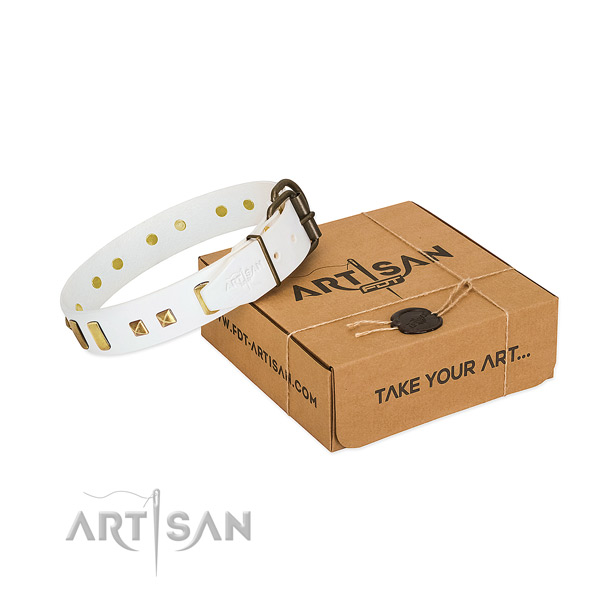 Gentle to touch natural leather dog collar with embellishments for stylish walking