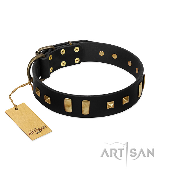Soft to touch full grain leather dog collar with embellishments for daily walking