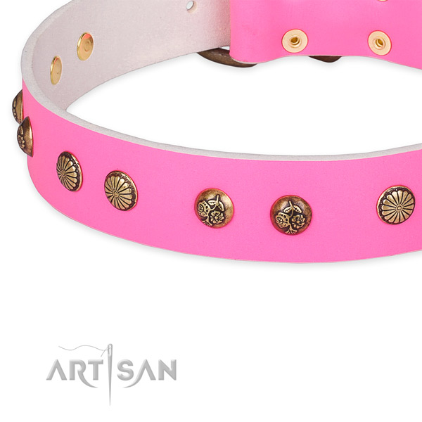 Designer full grain natural leather collar for your beautiful doggie