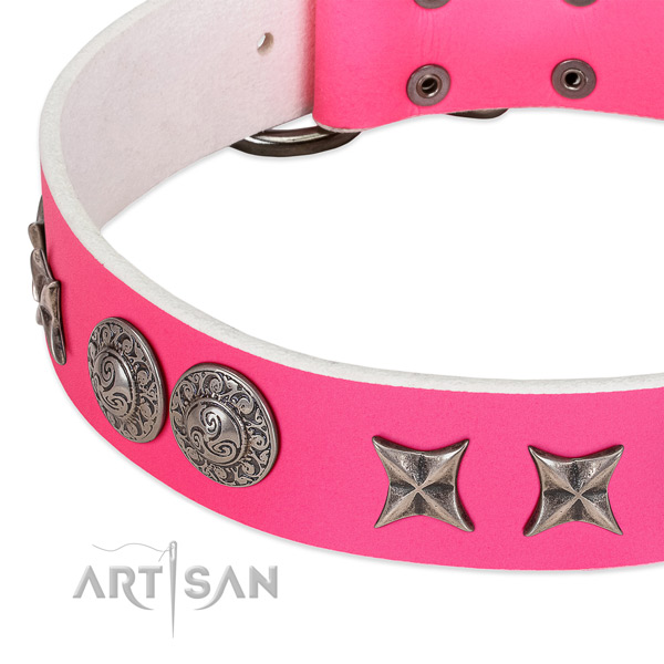Reliable genuine leather dog collar crafted for your canine
