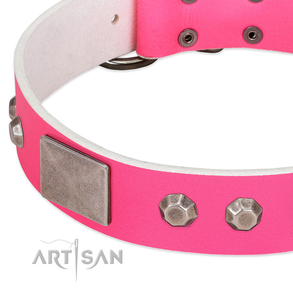 Soft full grain leather dog collar with embellishments