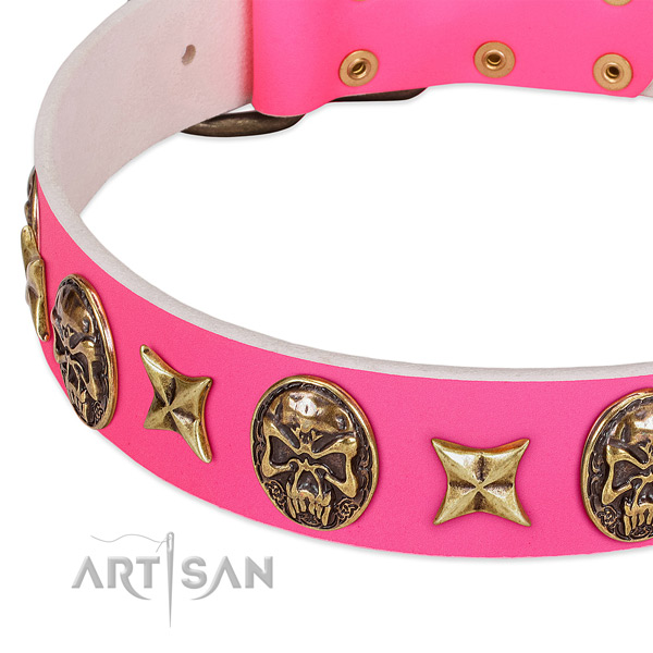 Full grain leather dog collar with exquisite studs