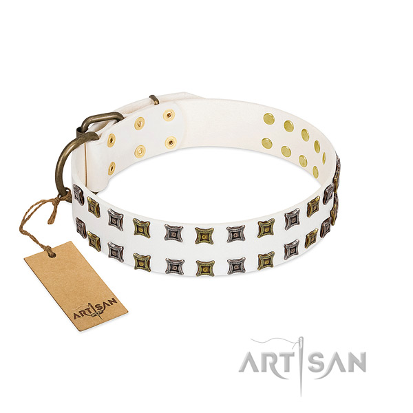 Durable genuine leather dog collar with studs for your doggie