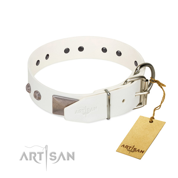 Stylish walking dog collar of leather with amazing adornments