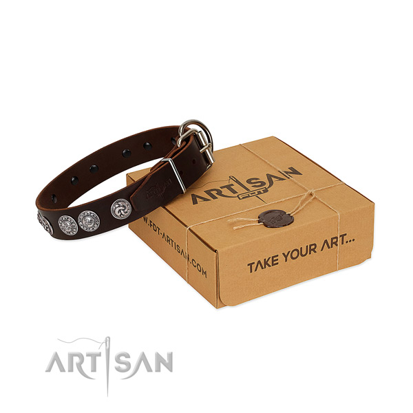 Amazing full grain leather collar for your pet stylish walking