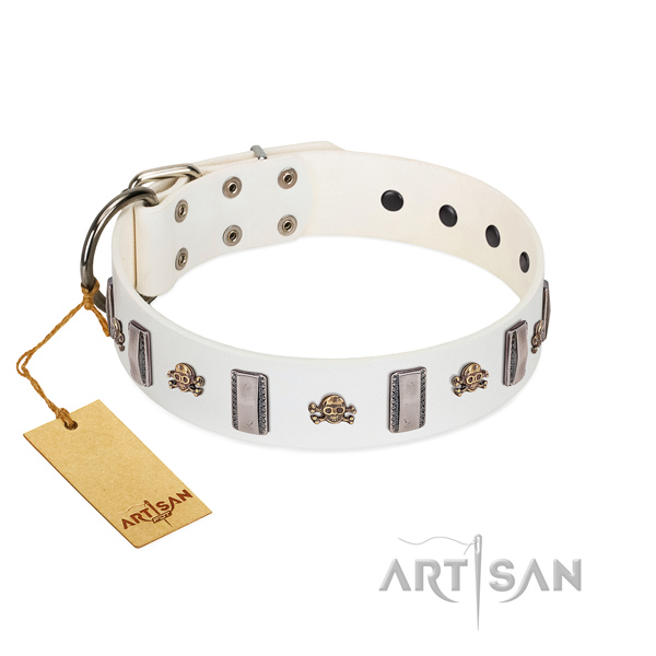 Full grain leather dog collar with stylish design decorations for your doggie