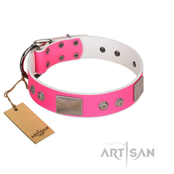 Strong fittings on full grain genuine leather dog collar for walking
