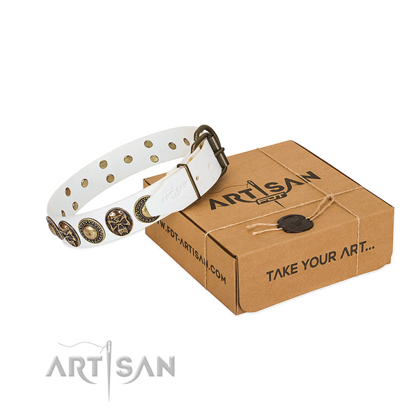 Rust resistant embellishments on dog collar for easy wearing