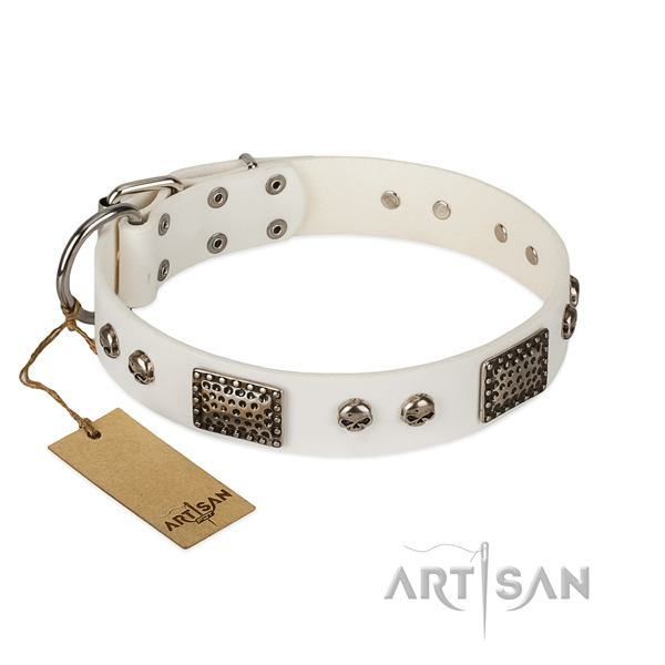 Easy to adjust full grain natural leather dog collar for walking your pet
