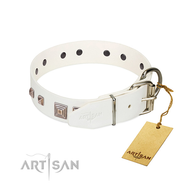 Amazing collar of full grain natural leather for your attractive dog