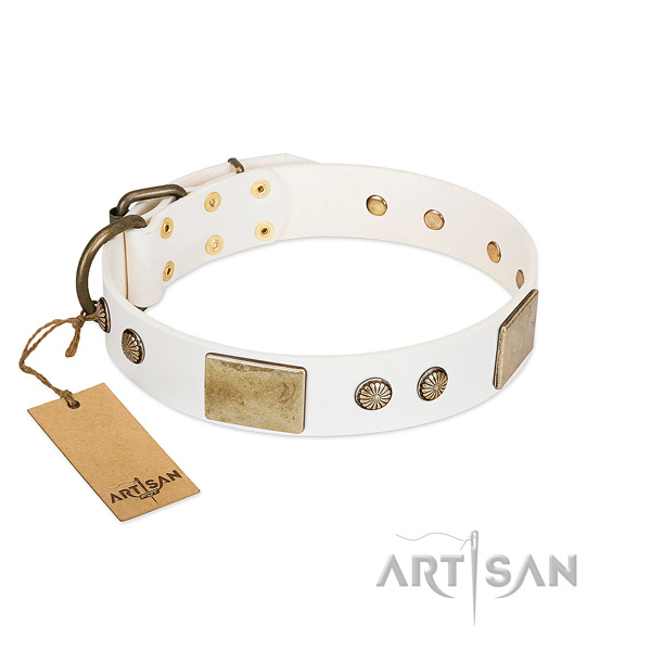 Easy wearing natural leather dog collar for daily walking your four-legged friend