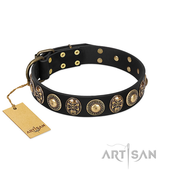Easy wearing full grain natural leather dog collar for basic training your dog