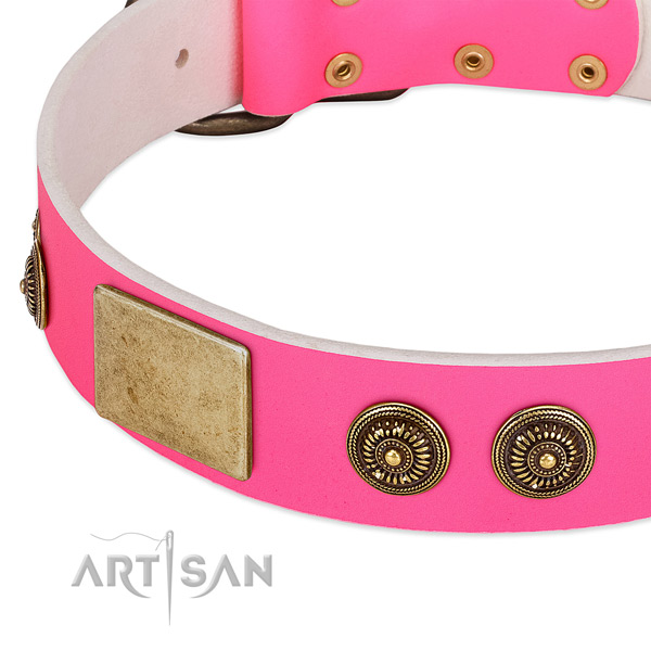 Top notch dog collar handcrafted for your impressive pet