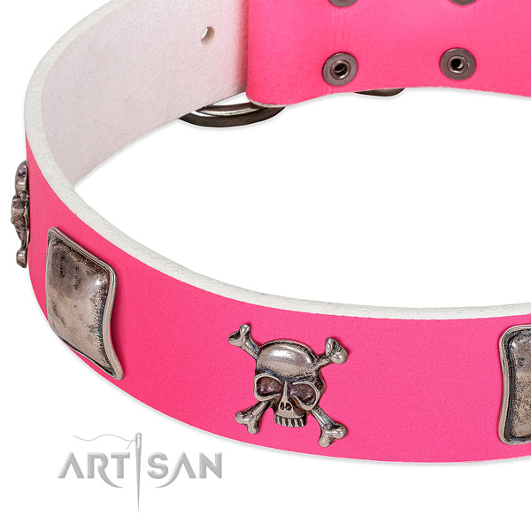 Rust resistant adornments on full grain leather dog collar