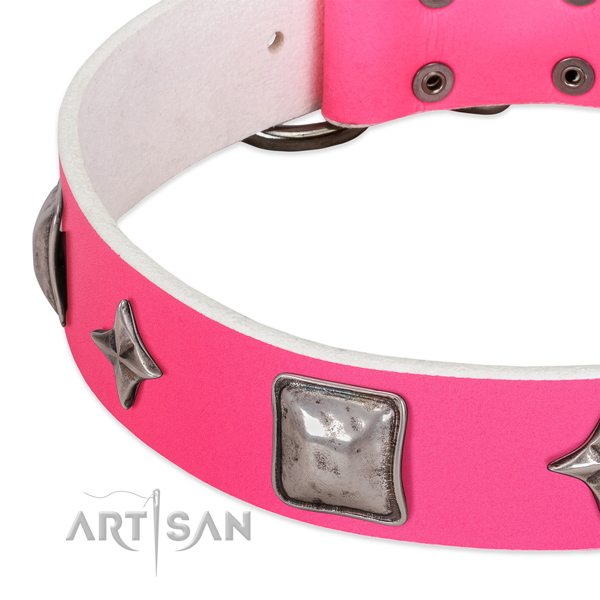 Incredible full grain leather dog collar with strong decorations