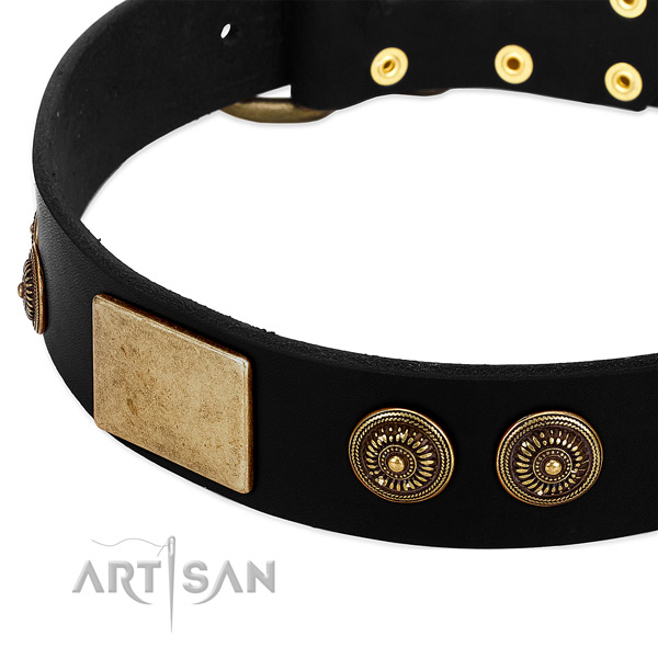 Strong embellishments on genuine leather dog collar for your doggie