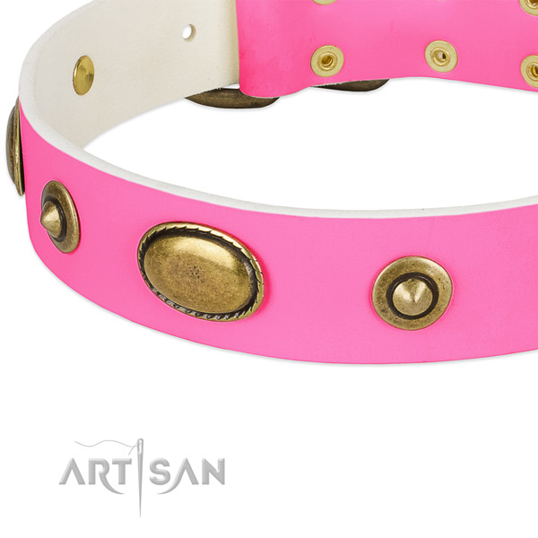 Rust-proof adornments on full grain natural leather dog collar for your canine