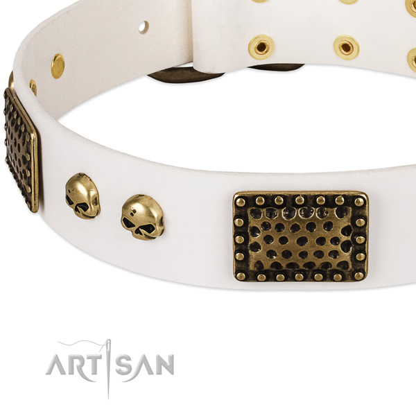 Durable adornments on genuine leather dog collar for your four-legged friend