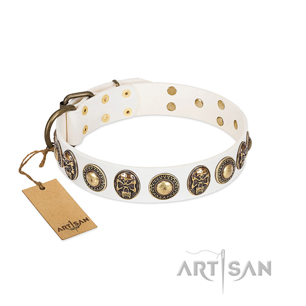 Easy wearing genuine leather dog collar for basic training your four-legged friend