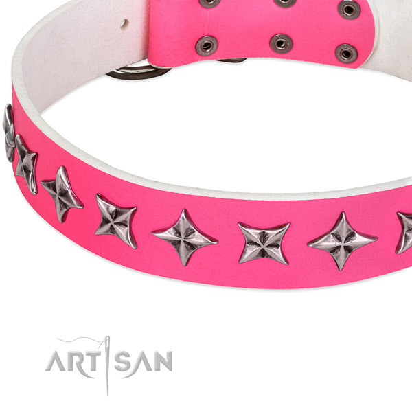 Easy wearing decorated dog collar of reliable full grain natural leather
