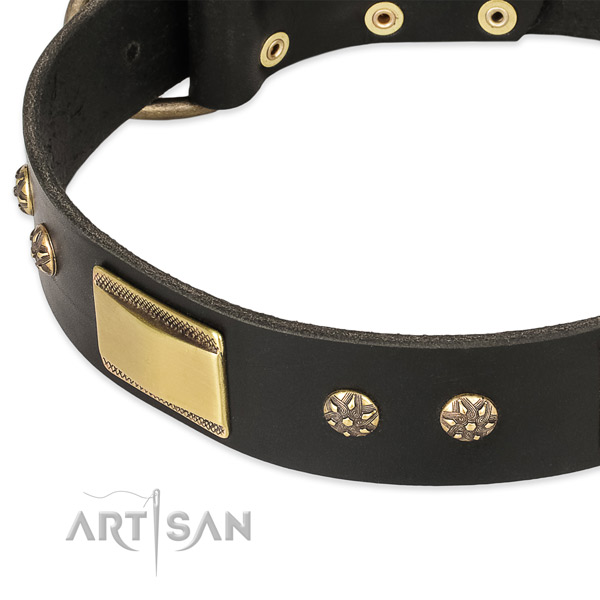 Corrosion resistant embellishments on full grain leather dog collar for your canine