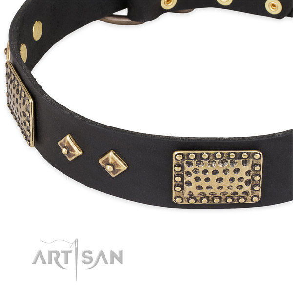 Rust-proof traditional buckle on full grain genuine leather dog collar for your canine