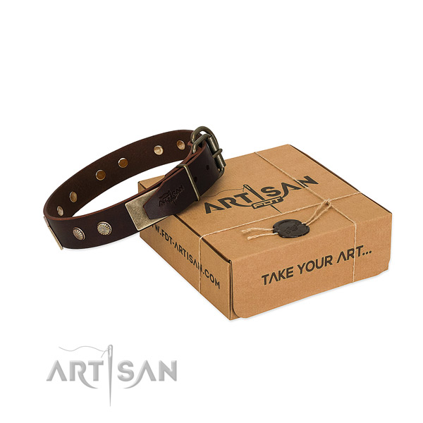 Rust resistant fittings on dog collar for easy wearing