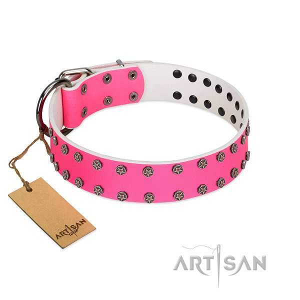 Daily walking natural leather dog collar with exceptional studs