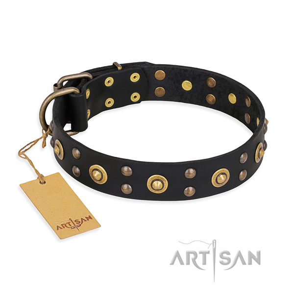 Designer full grain genuine leather dog collar with strong fittings