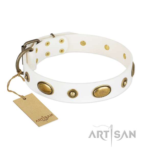 Adorned full grain leather collar for your four-legged friend