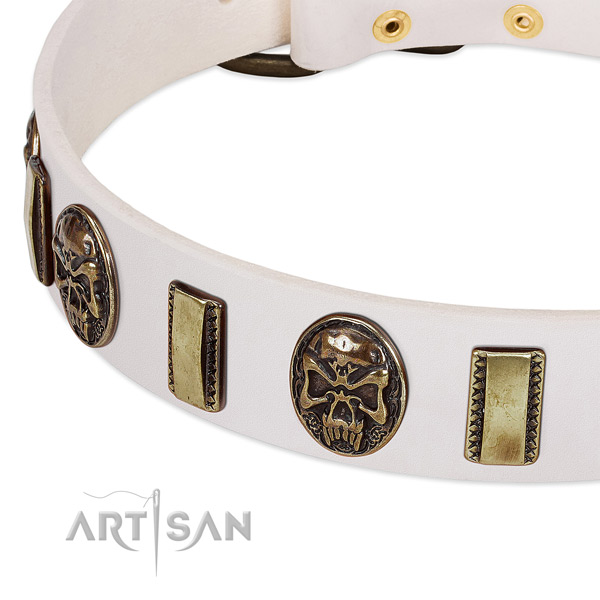 Durable studs on genuine leather dog collar for your pet