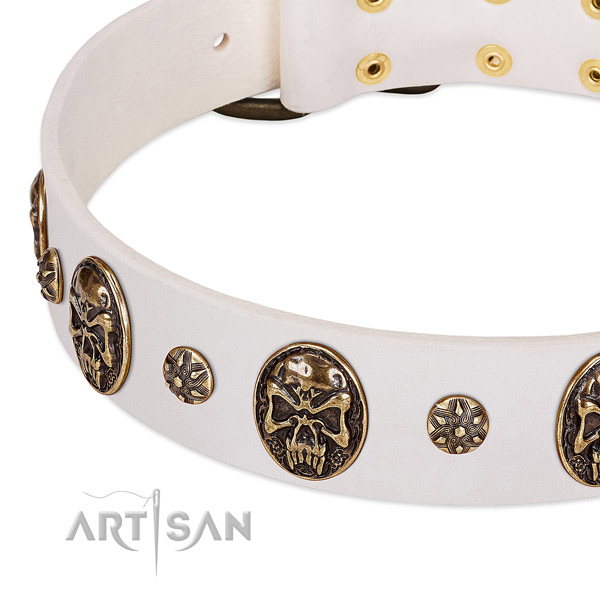 Durable studs on leather dog collar for your dog