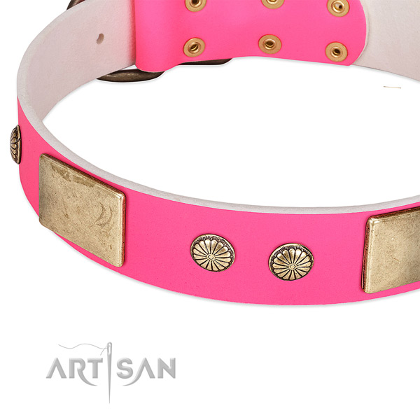 Reliable fittings on genuine leather dog collar for your dog