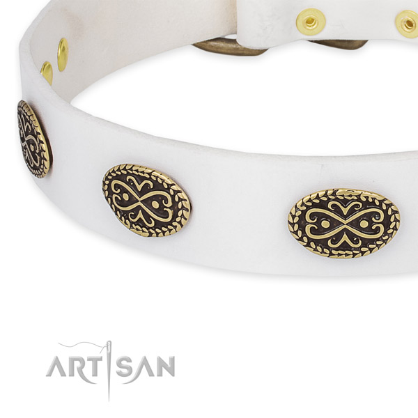 Impressive full grain natural leather collar for your attractive four-legged friend