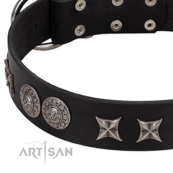Top notch genuine leather dog collar with adornments