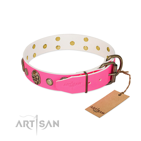 Durable studs on full grain natural leather dog collar for your dog
