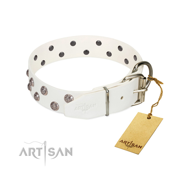 Reliable fittings on adorned full grain genuine leather dog collar