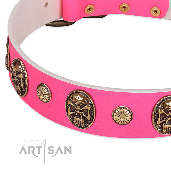 Corrosion resistant traditional buckle on full grain genuine leather dog collar for your pet